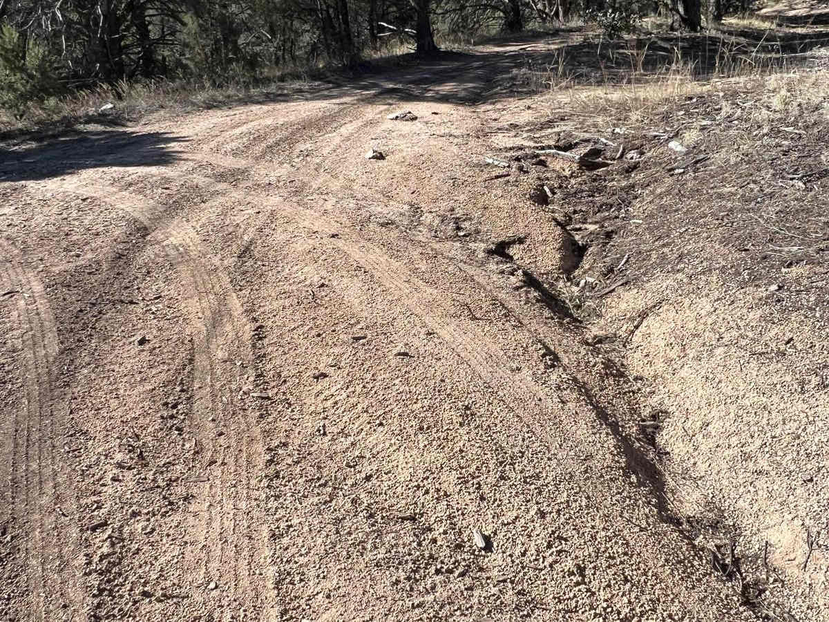 FS 4090 B Evacuation Route trail photo