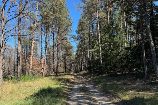 Three Camps (East)