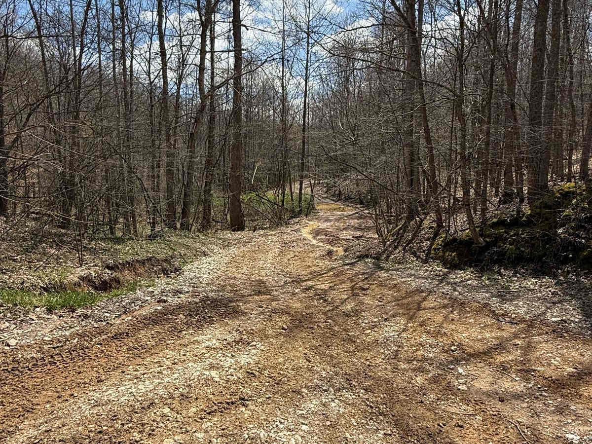 Trail 29 photo 6
