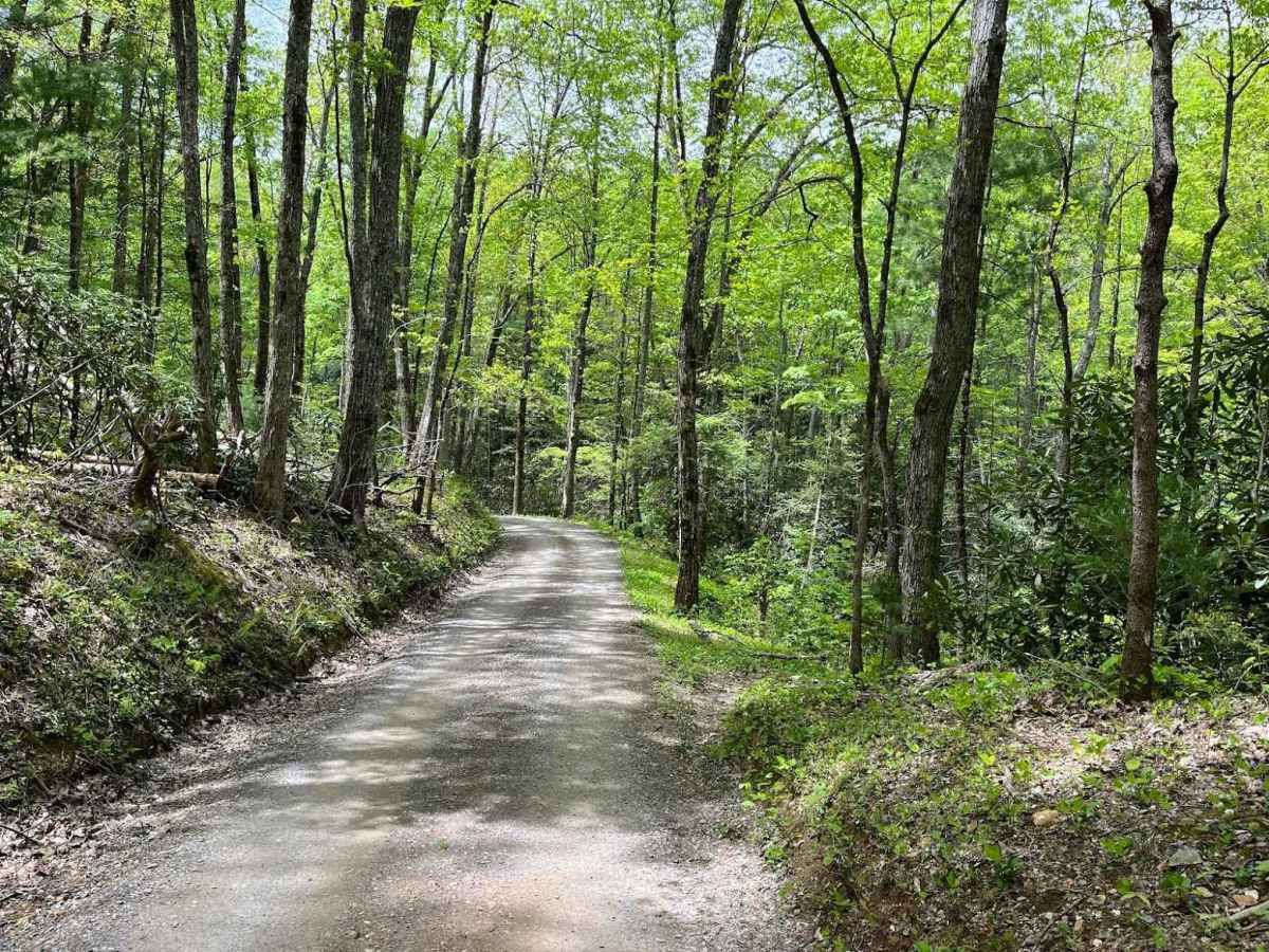 Parson Branch Road trail photo
