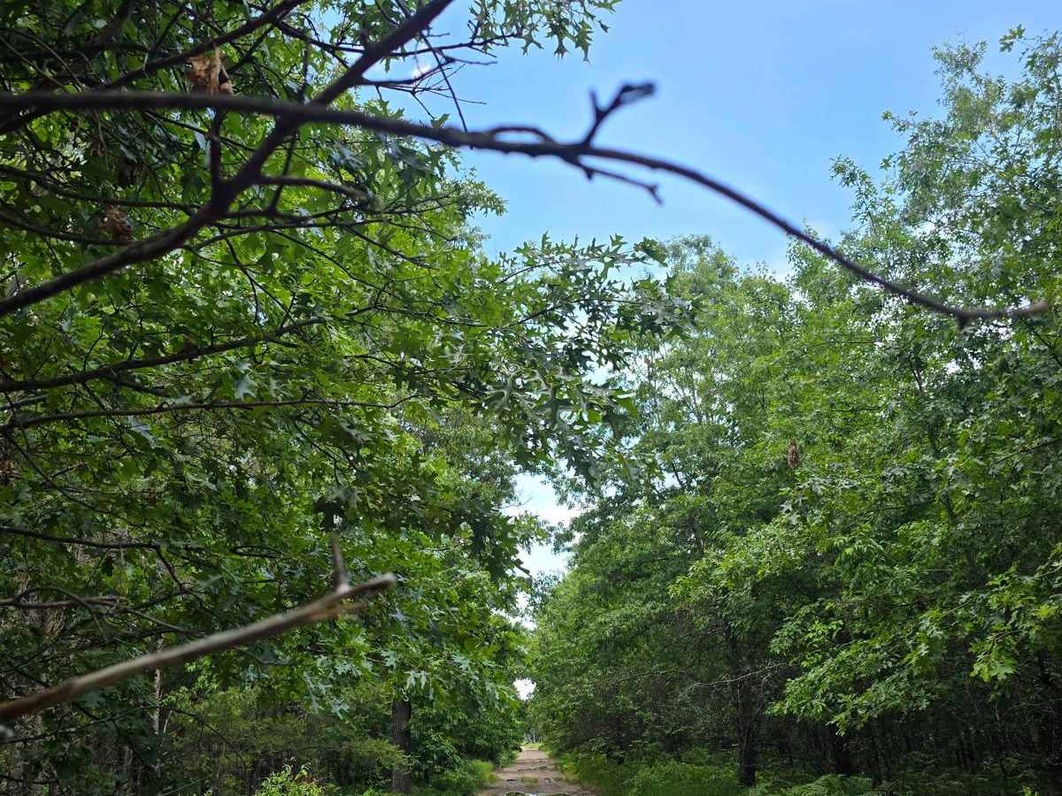 County Line photo 6