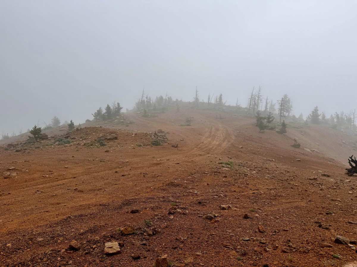 Mount Rosa Road - FS 381 photo 4