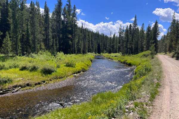 South Fork Madison Road (478)