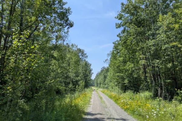 Colvin Forest Road