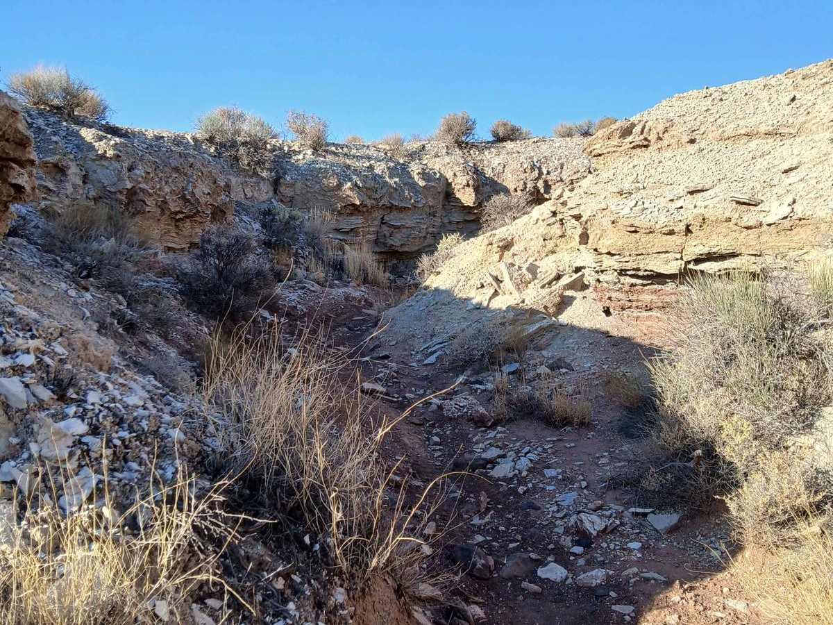 Mini Canyon Tracer photo 5