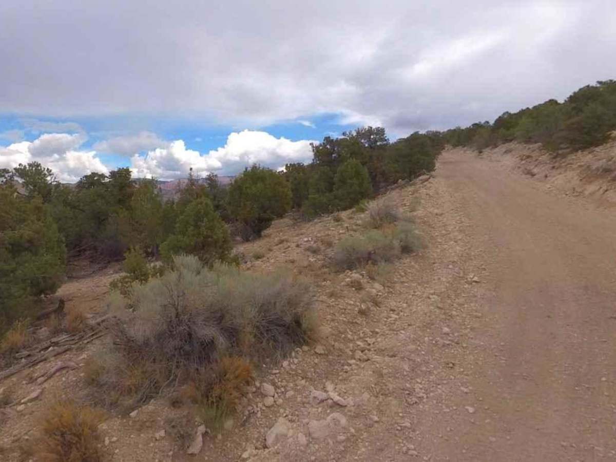 Coal Bench Road-Garfield County 7800 photo 3