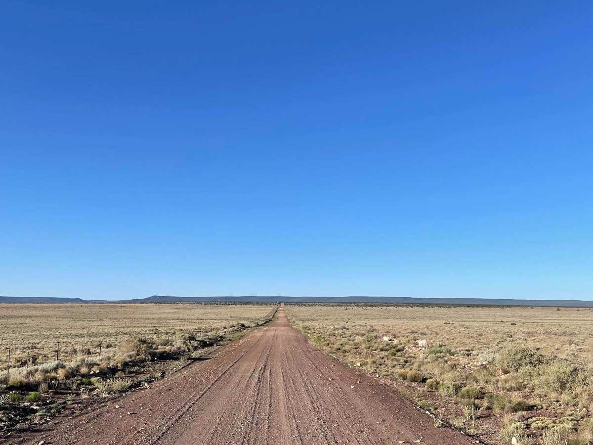 FS 126 to FS 125 trail photo