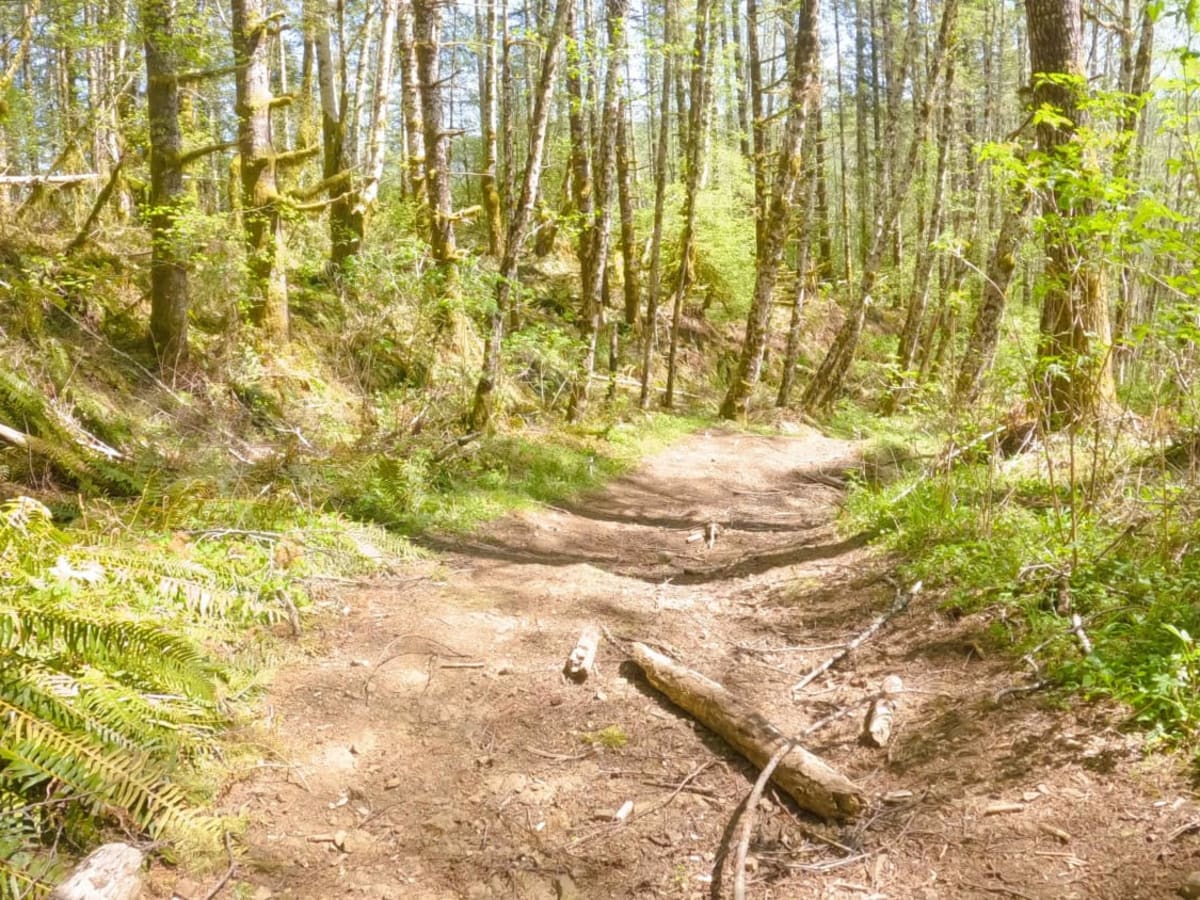 Zig Zag Trail photo 6