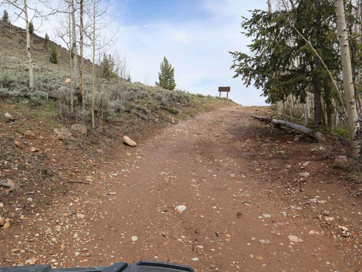 Poison Mountain trail photo