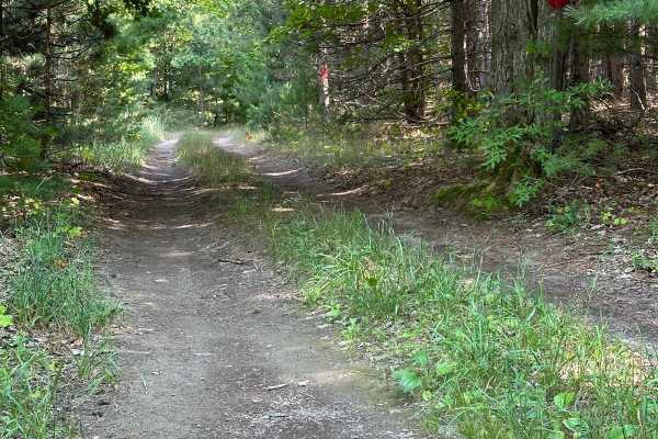 Beeman Road Spur