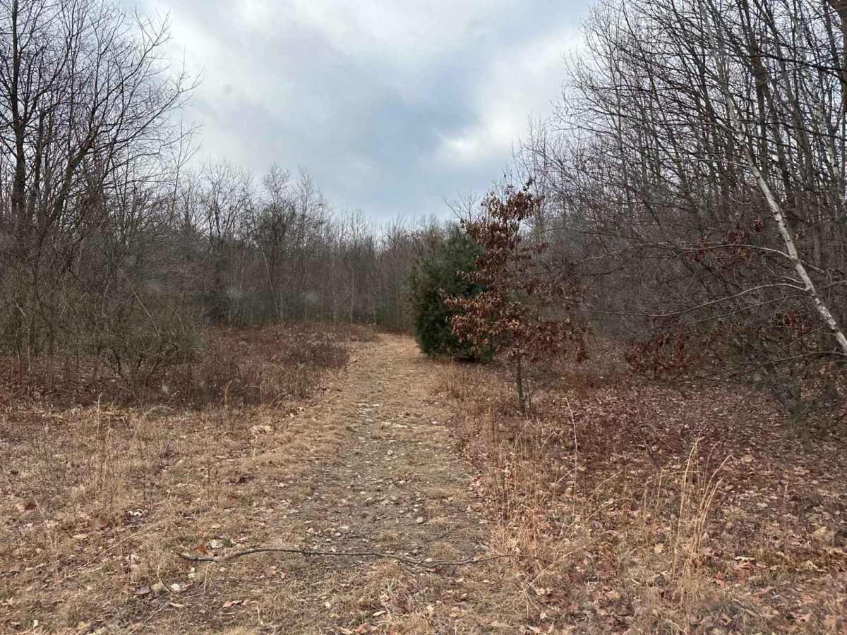 Locust Gap 62 trail photo