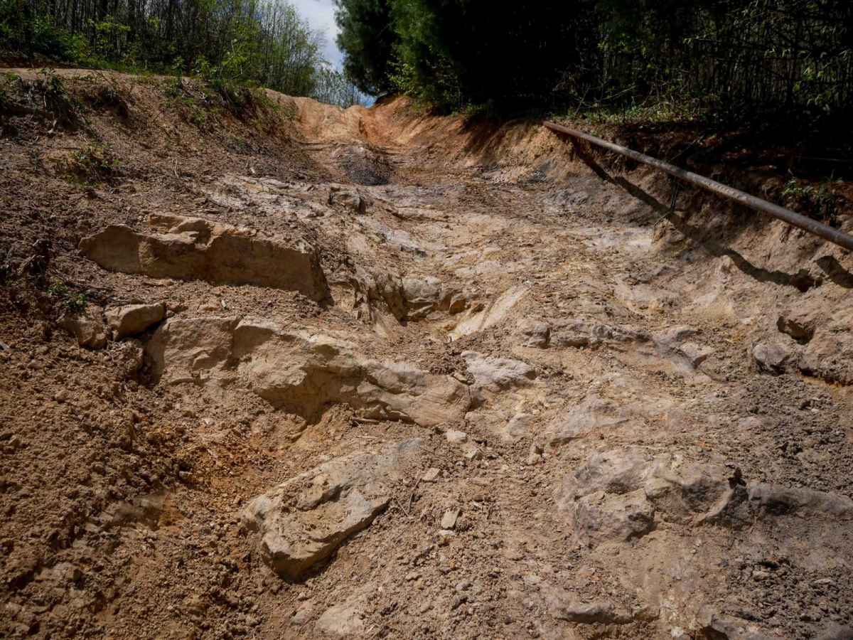 P84 trail photo