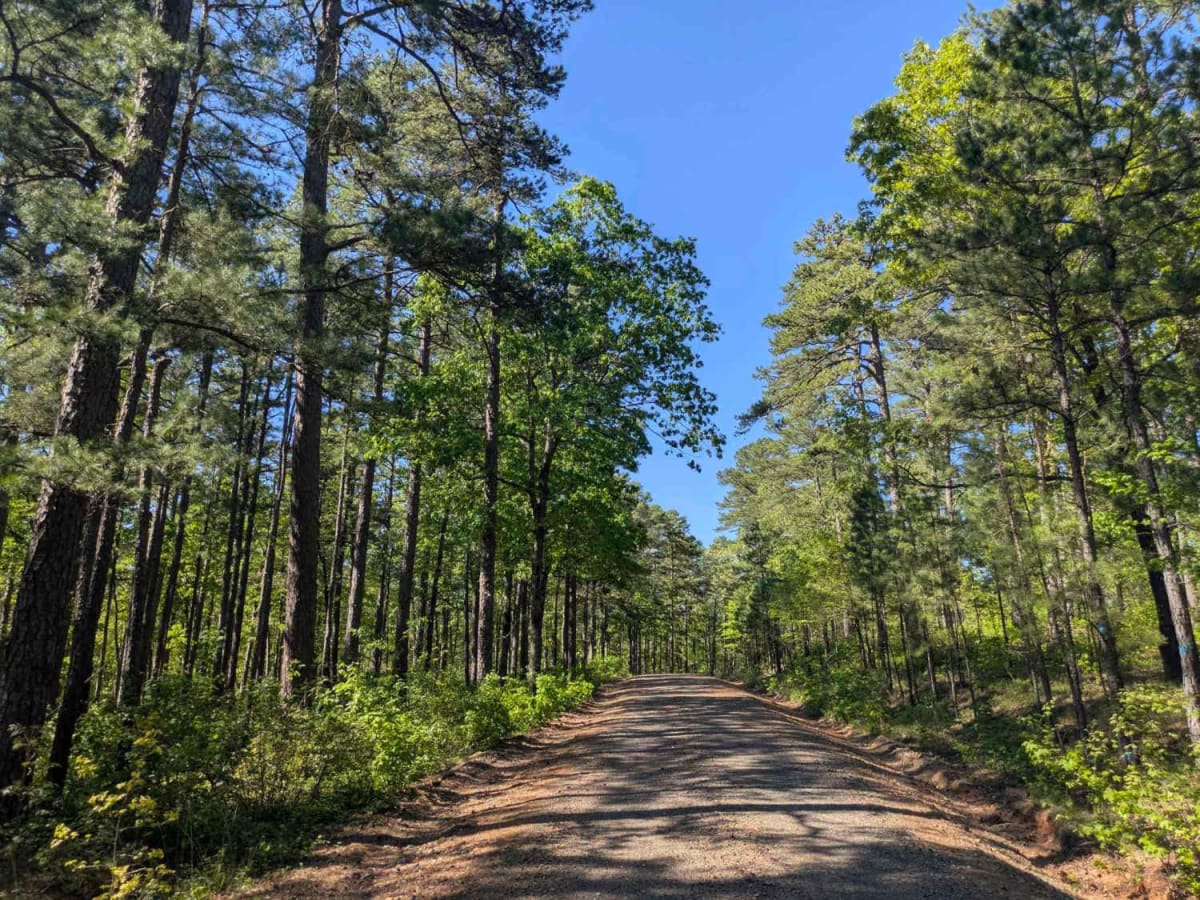 Pitfork Road photo 6