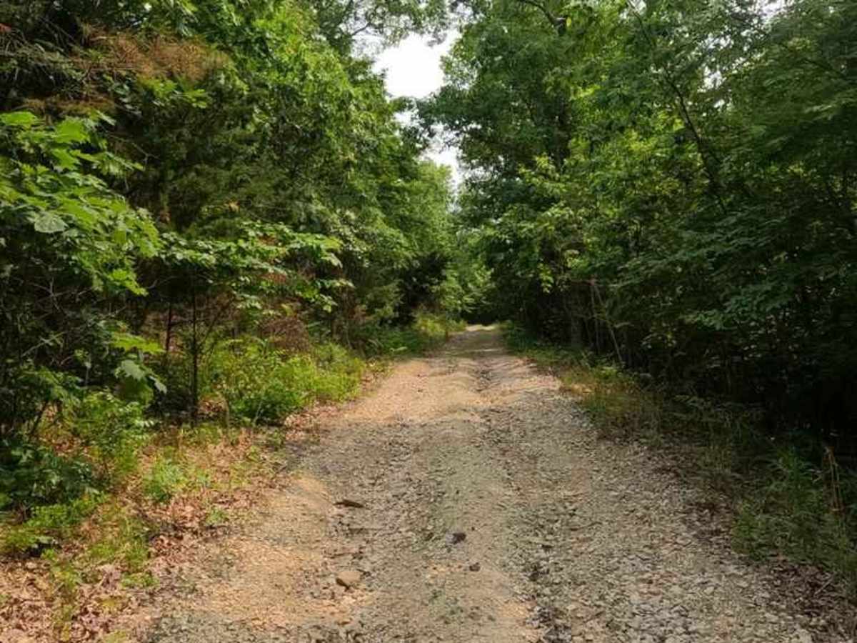 Cedar Bottom FSR 2159 photo 5
