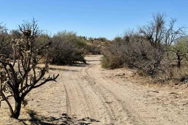 Goff Wash