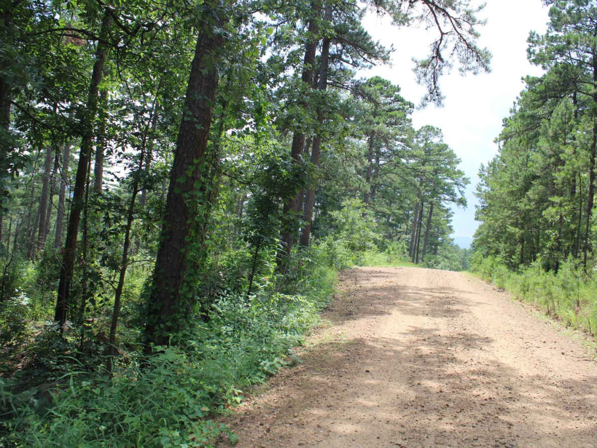 Jack Creek Road photo 4