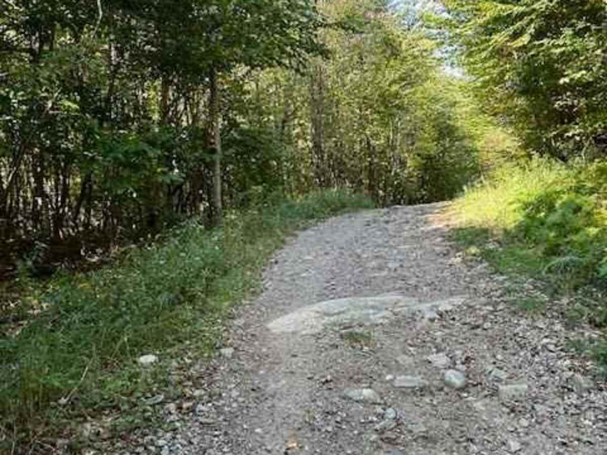 Picketville Road photo 2