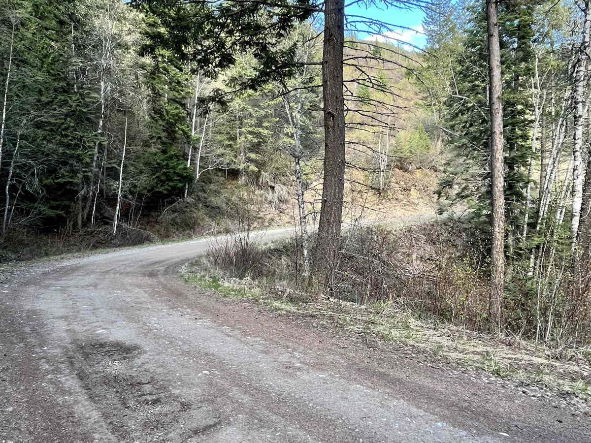 Cedar Ridge NF-1690 photo 5