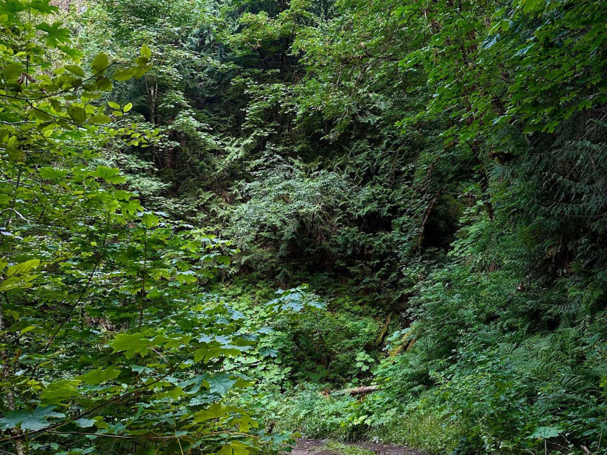 Kilborn Creek photo 6