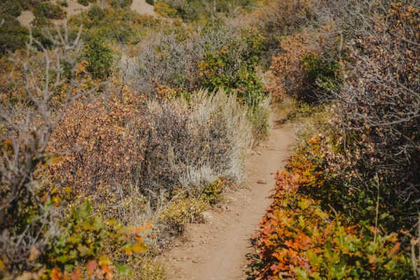 South Porcupine Trail