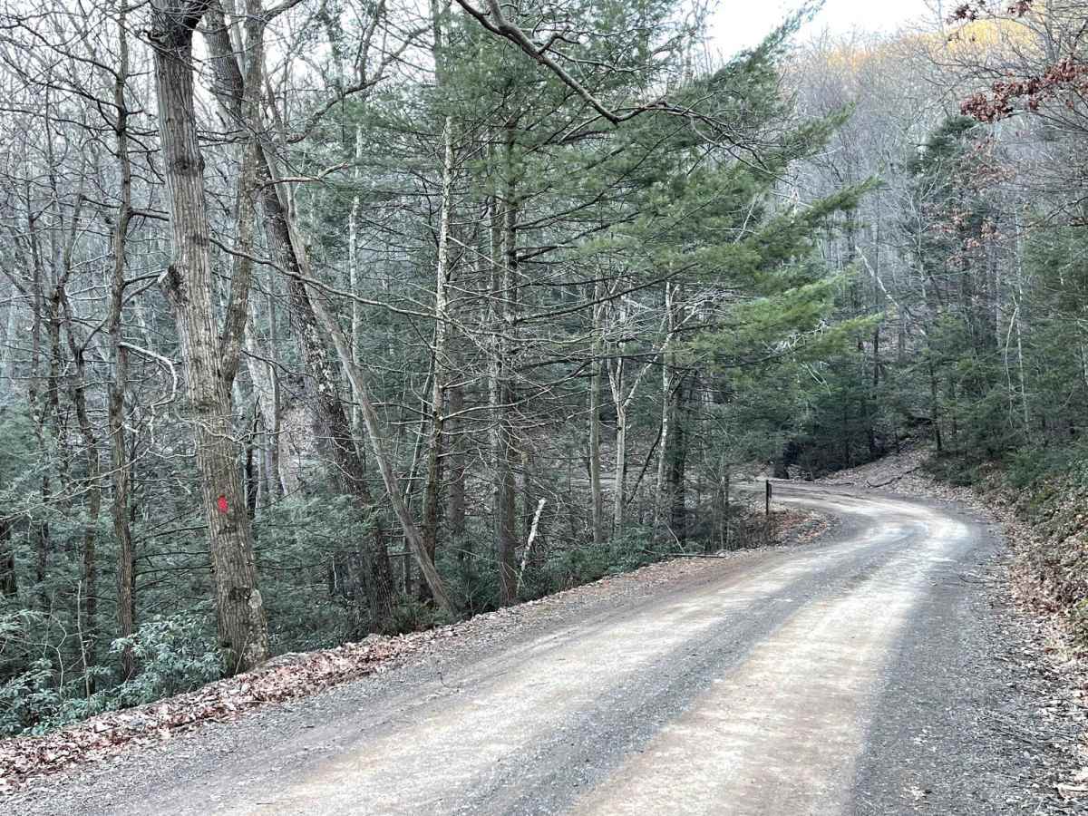 Knob Ridge Road photo 5