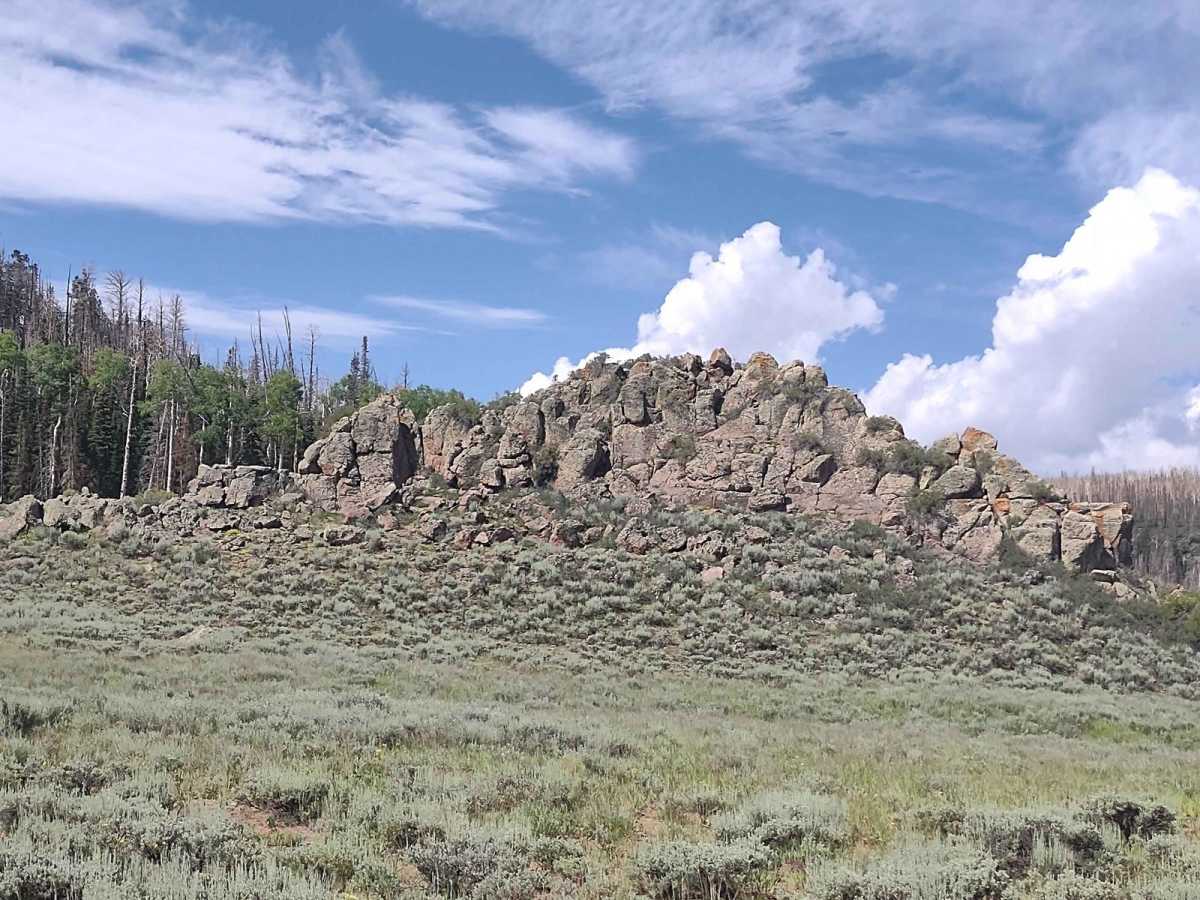 Dinosaur Rock (FS 41226 & 41226B) trail photo