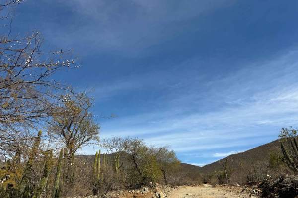 El Rosario Cutoff