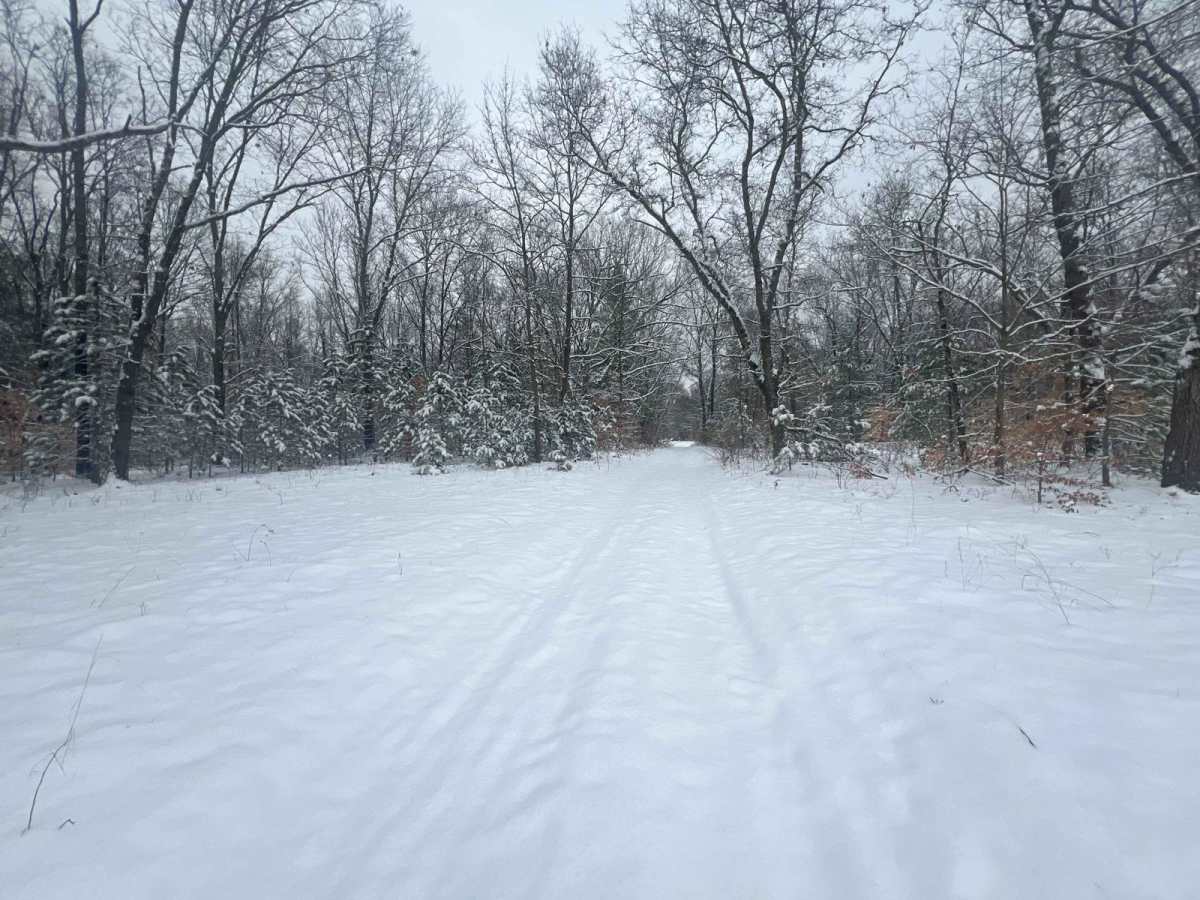 Sidewinder Trail photo 4