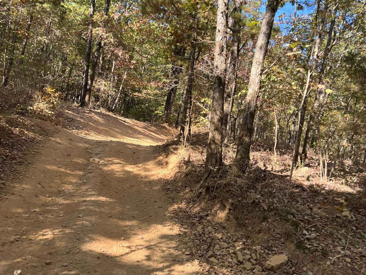 Wolf Pen Gap 313 trail photo