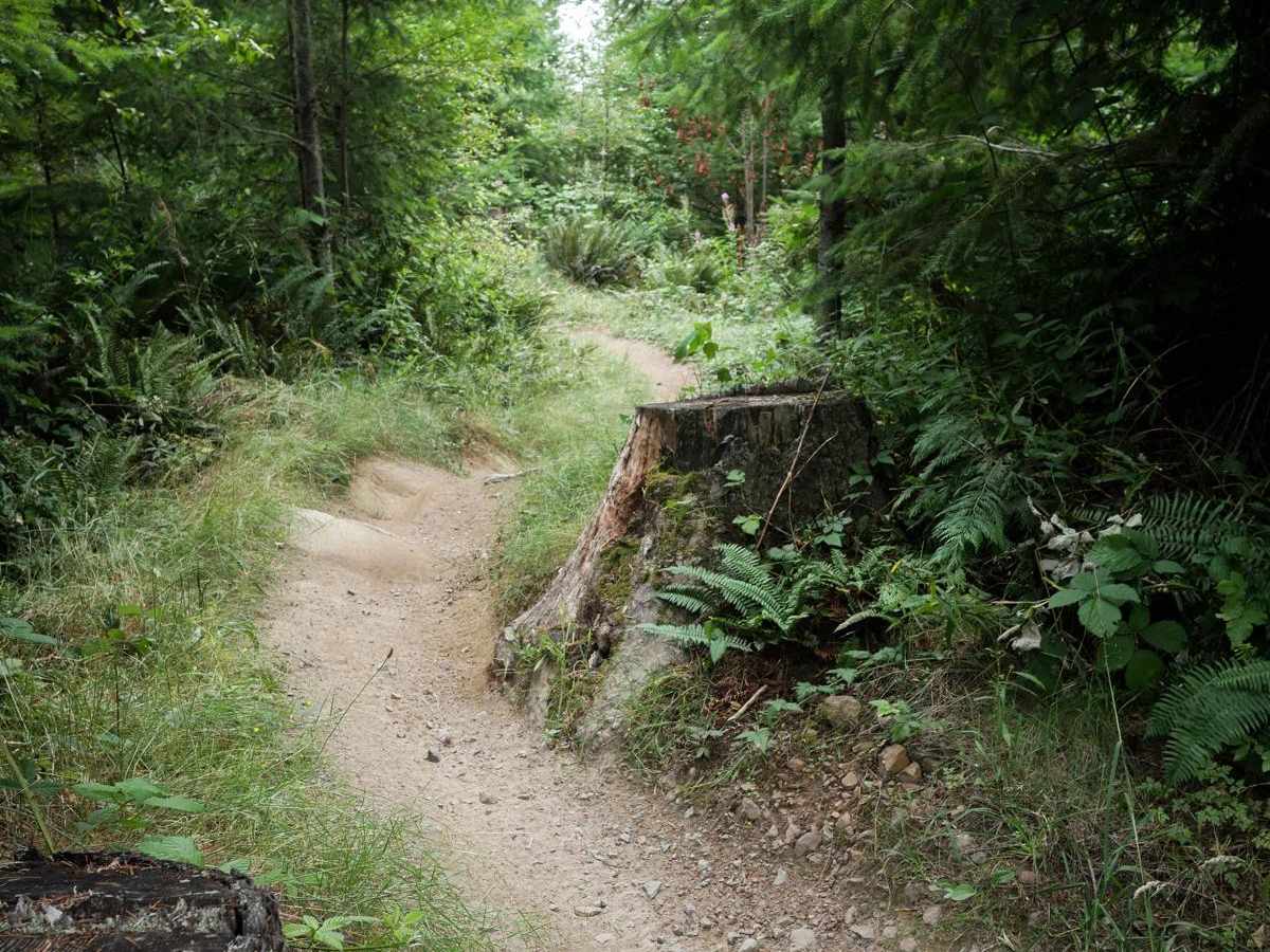 Webfoot photo 3