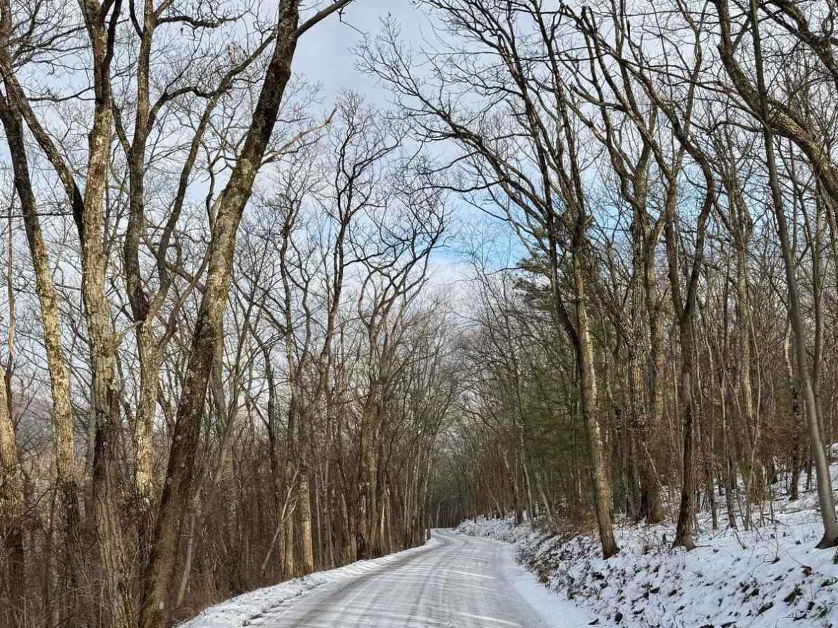 Brandon Road photo 4