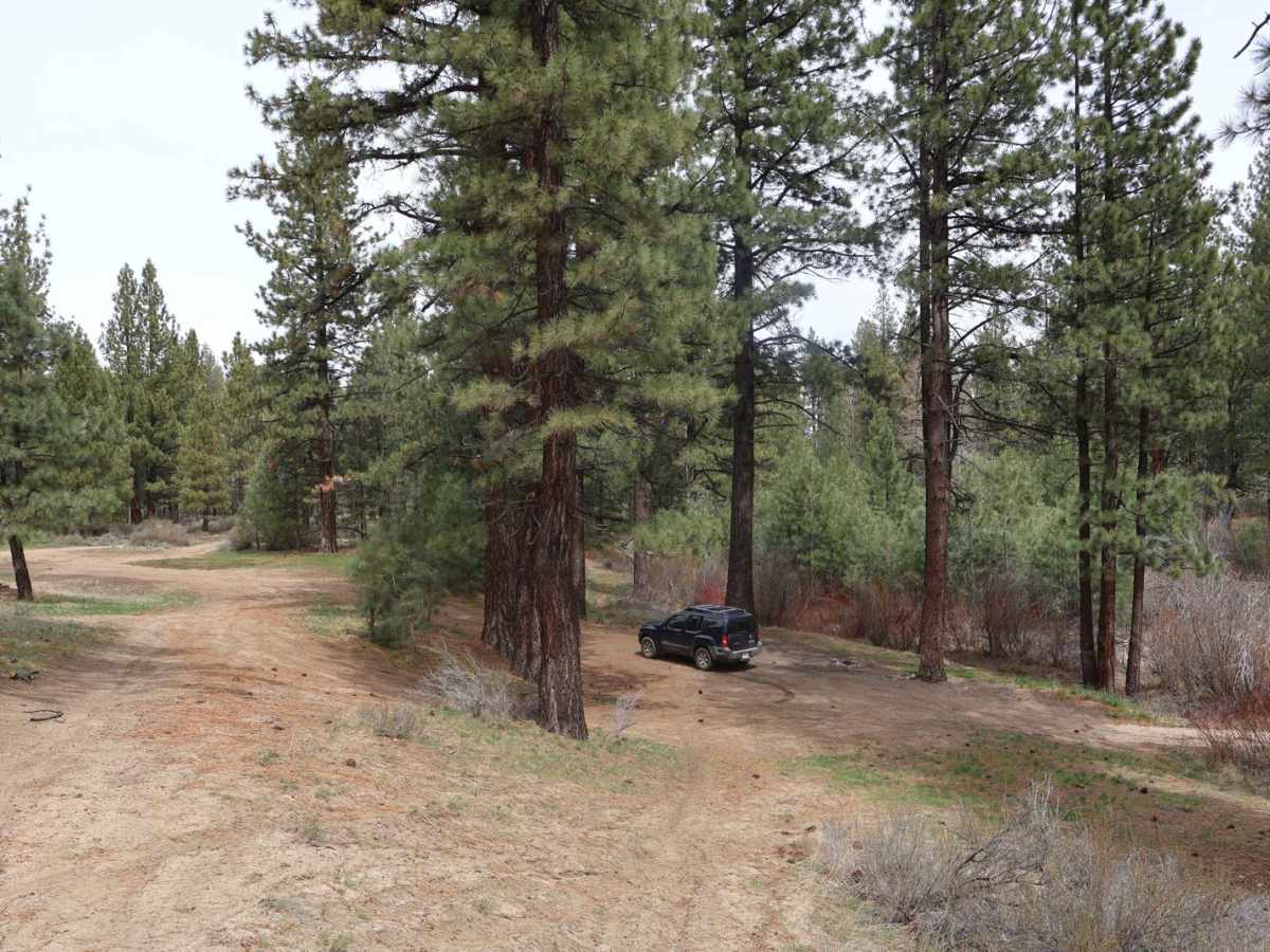 Long Valley Road photo 3