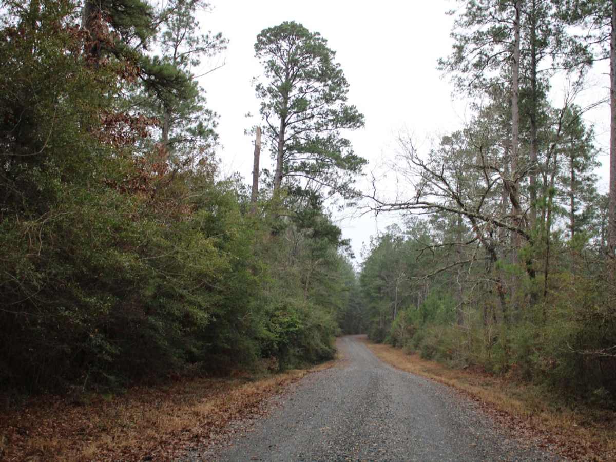 Plane Road (545) photo 4