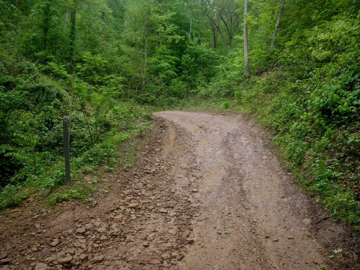RH 19 photo 4