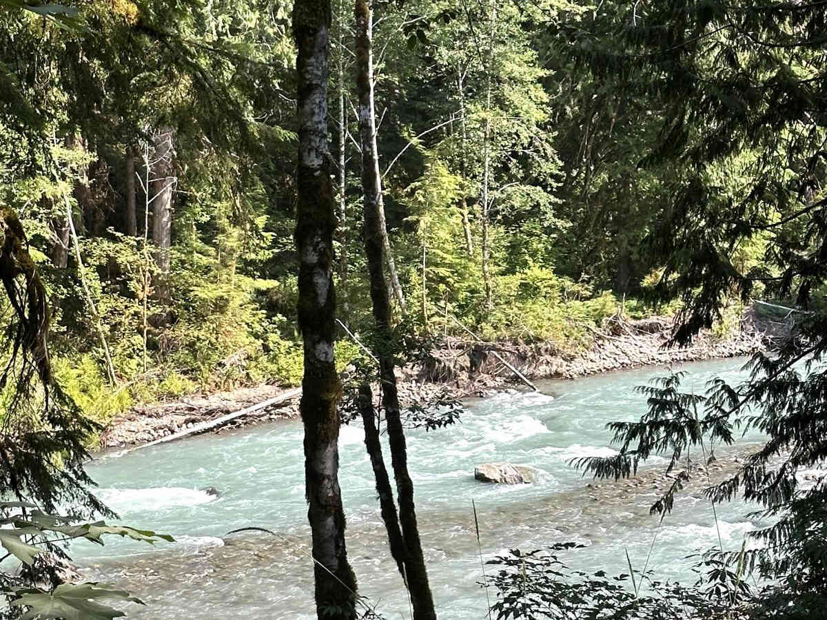 Nooksack River Trail trail photo
