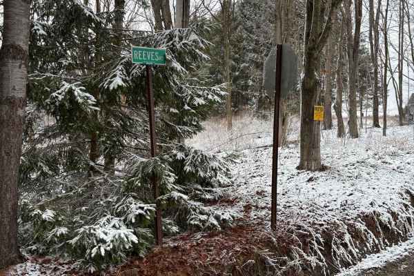 Reeves Road