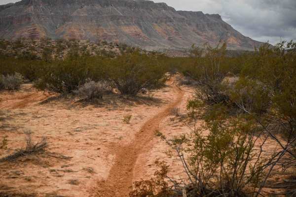 2048 Single Track