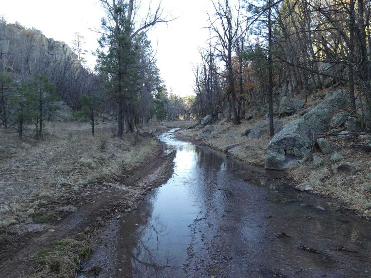 House Mountain Road photo 3