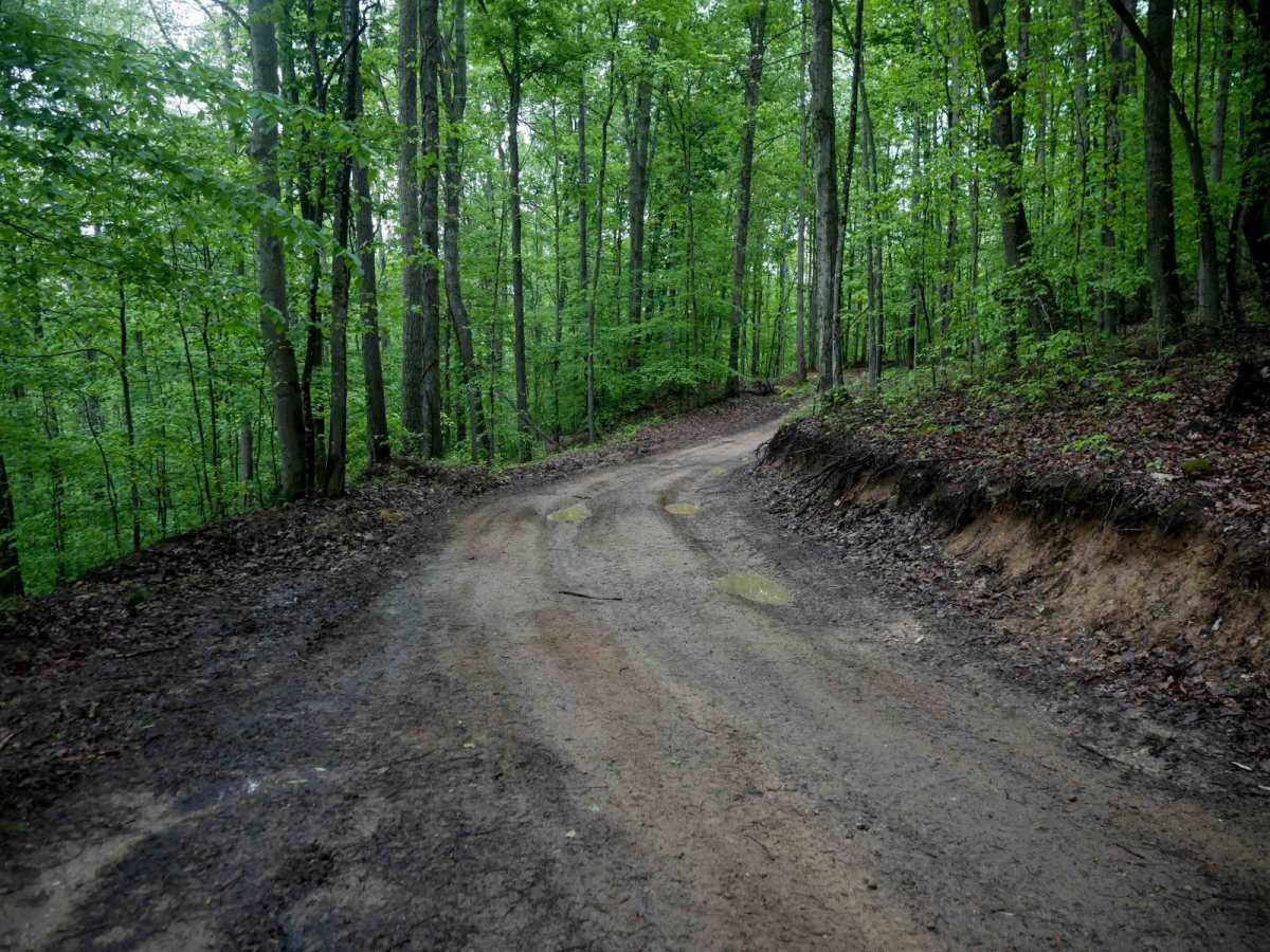 IB 12 photo 6