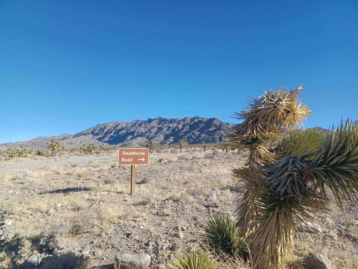 Dead Horse trail photo