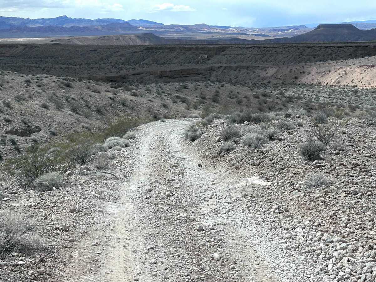NPS 113 photo 4