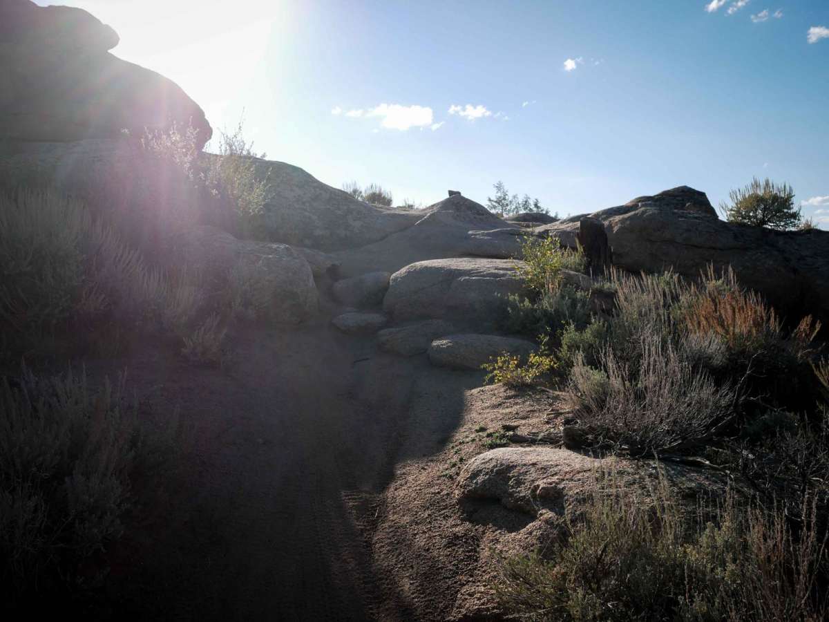 Rattlesnake photo 3