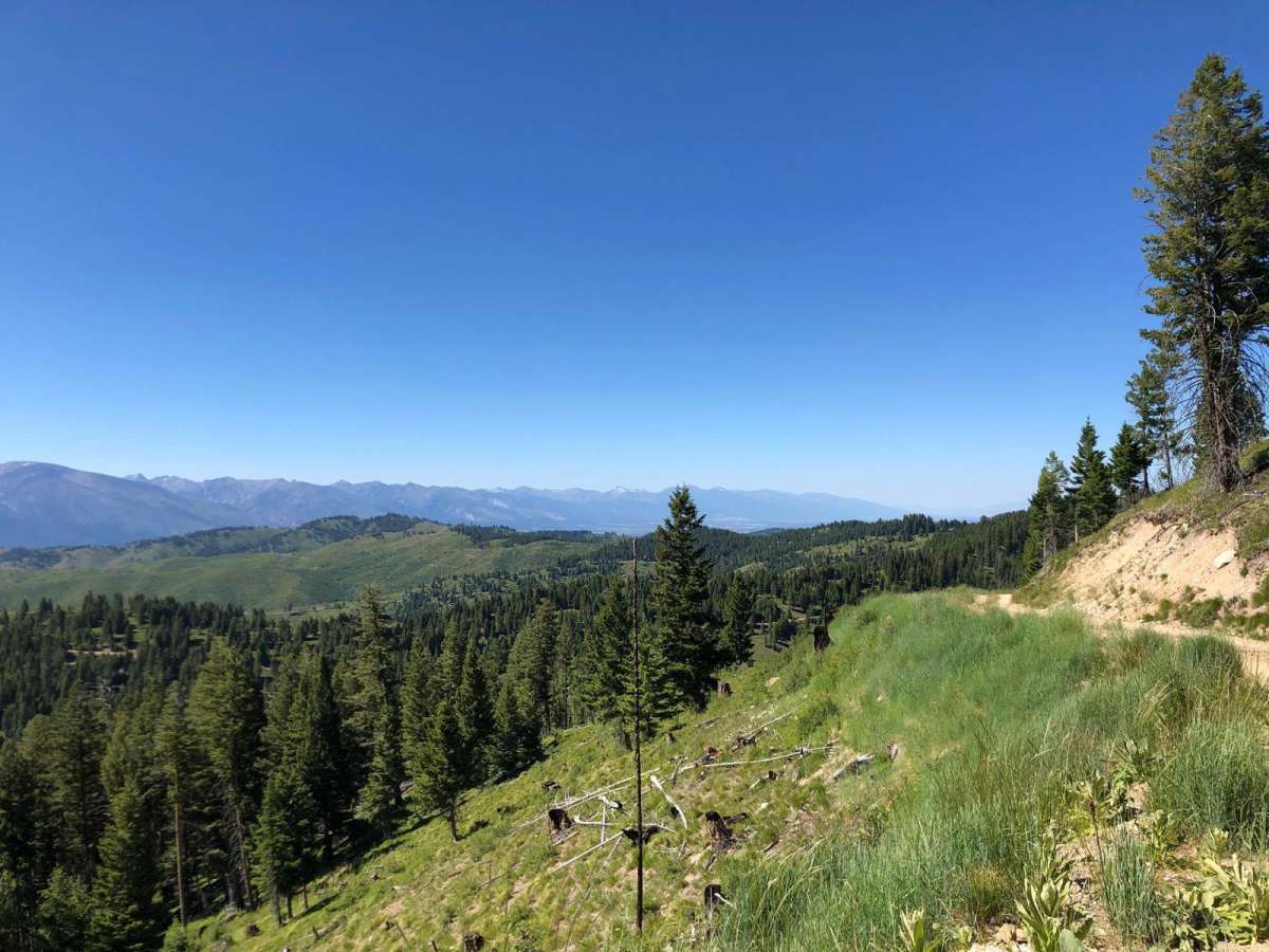 Deer Mountain photo 3
