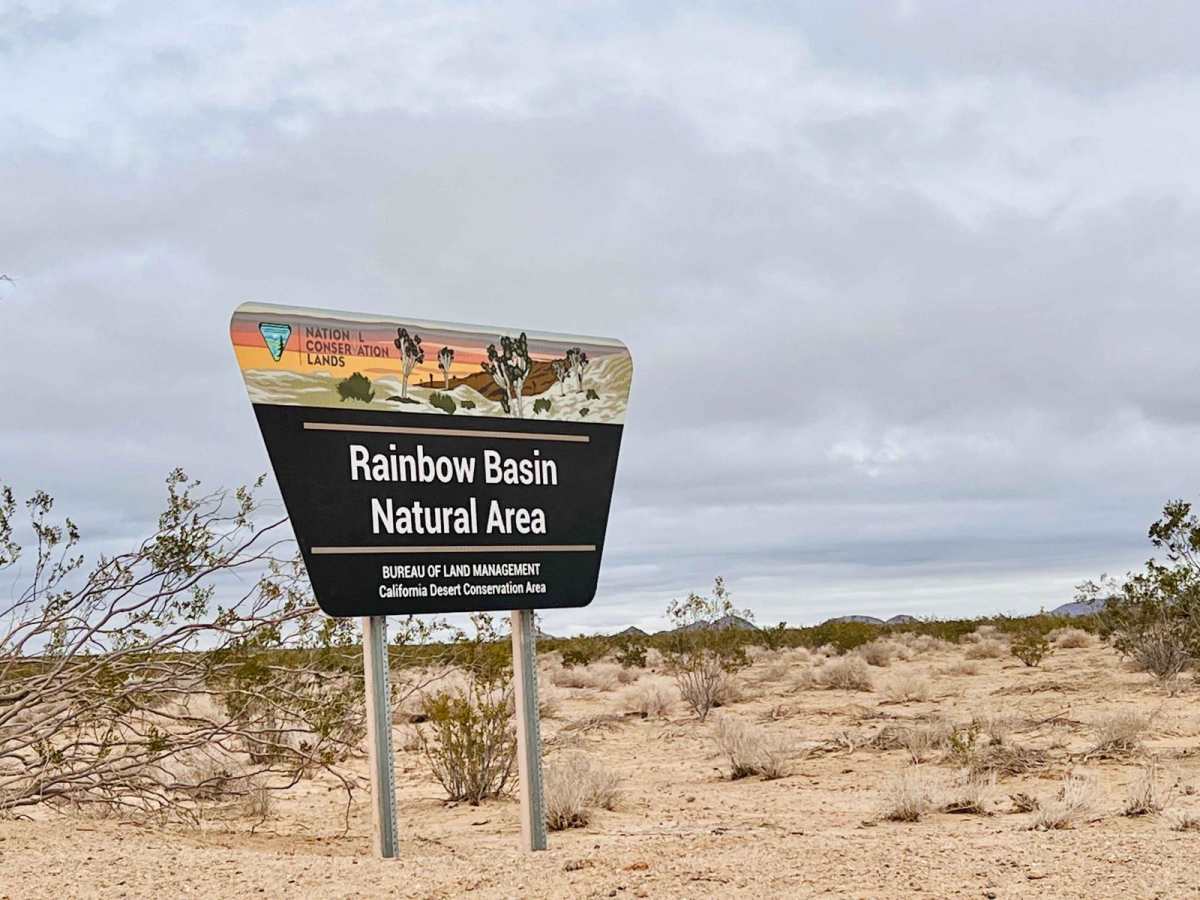 Rainbow Basin Loop photo 2