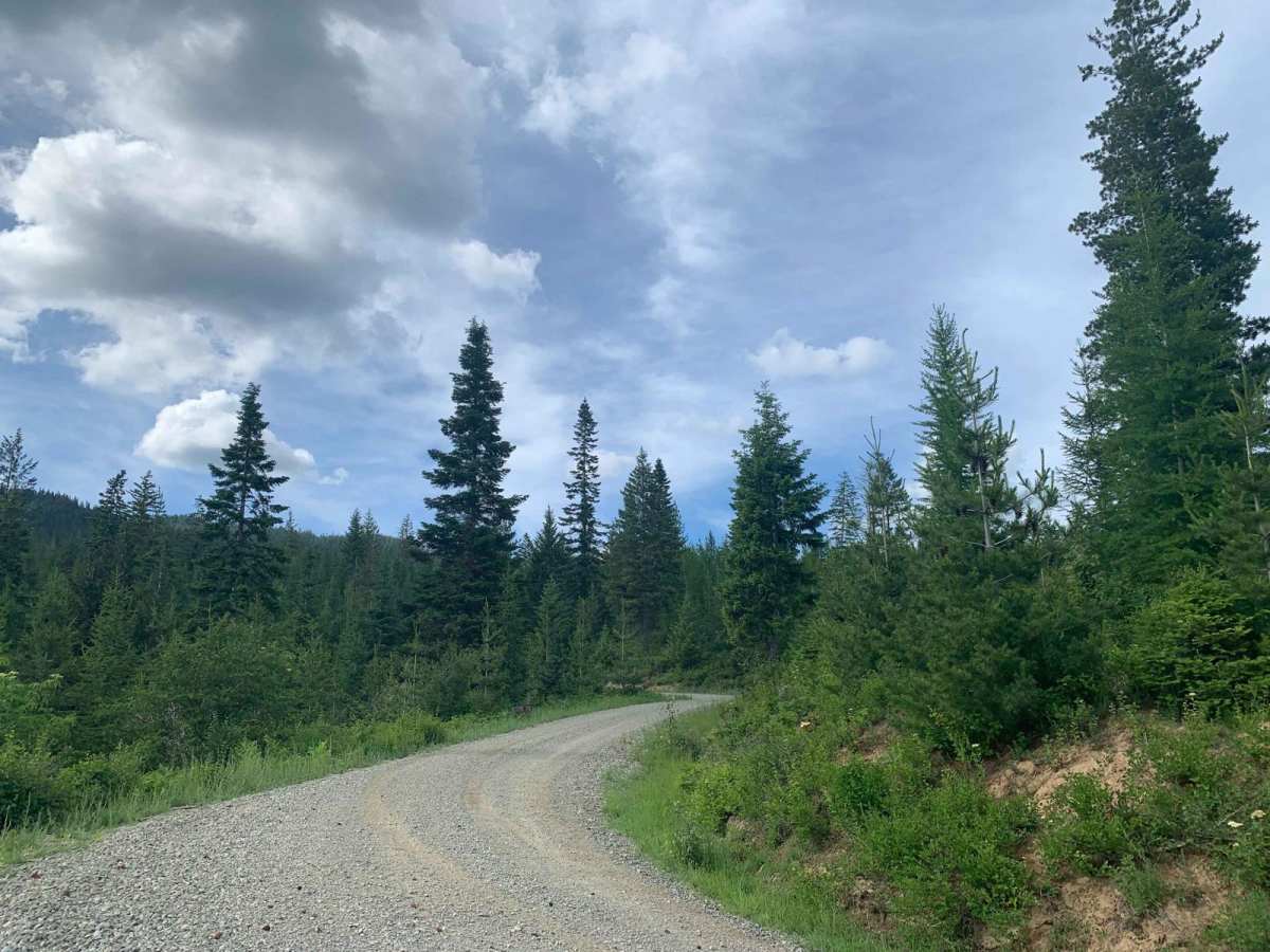 Brickel Creek Road trail photo