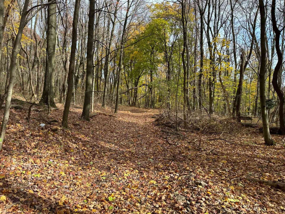 Ashland 150 trail photo