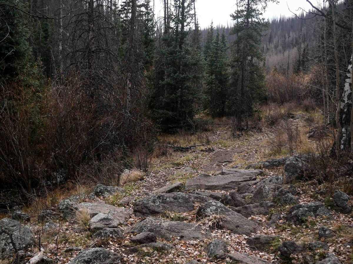 Groundhog Single Track photo 3