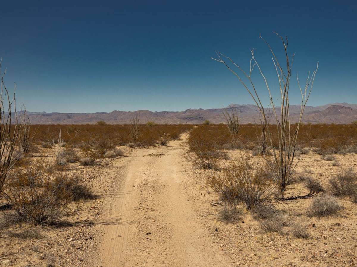 Tres Burros photo 5