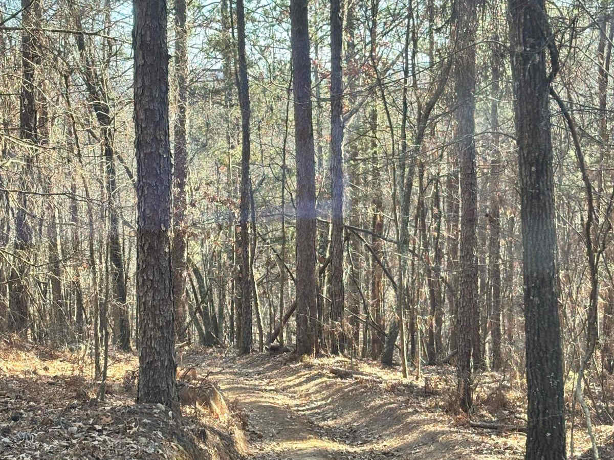41 trail photo
