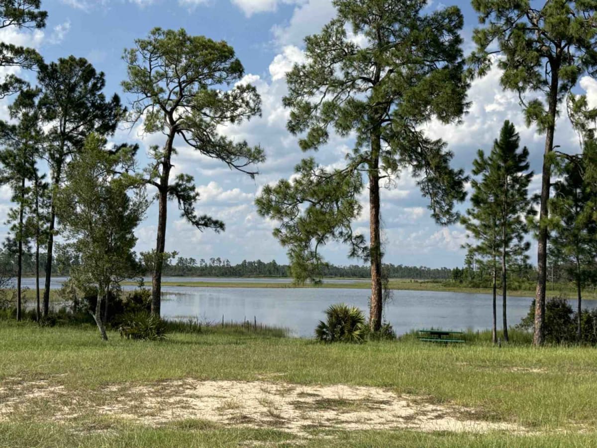 Volusia Trail - ONF 22 photo 5